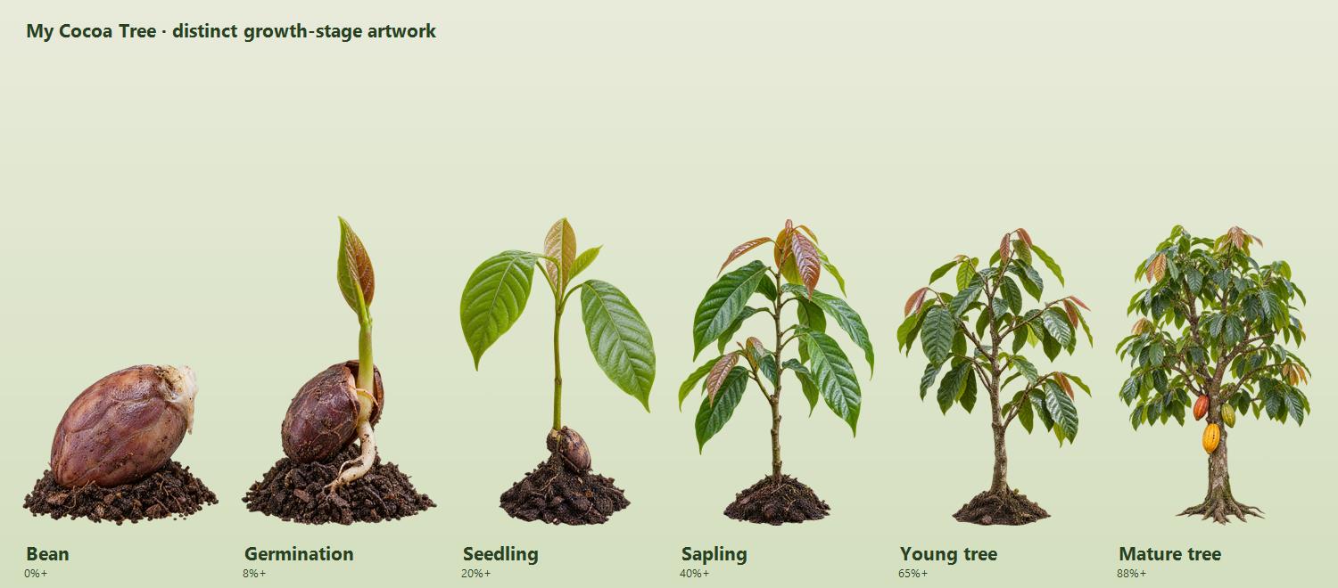 Six illustrative photographic growth stages from cacao bean through mature tree